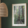 A set of three fine art California Redwood forest prints showcasing lush, stunning, and inspiring forest paths. Symbolizing the different paths we can take in life.