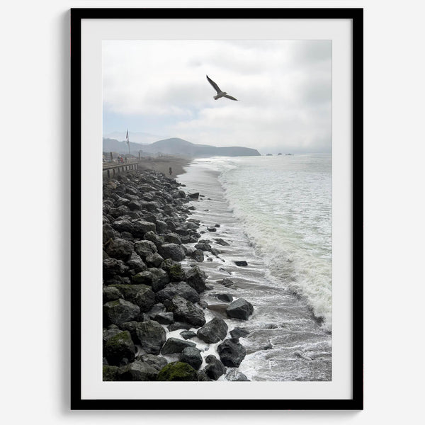 Serene sea gull wall art from Pacifica, coastal photography print for modern interiors