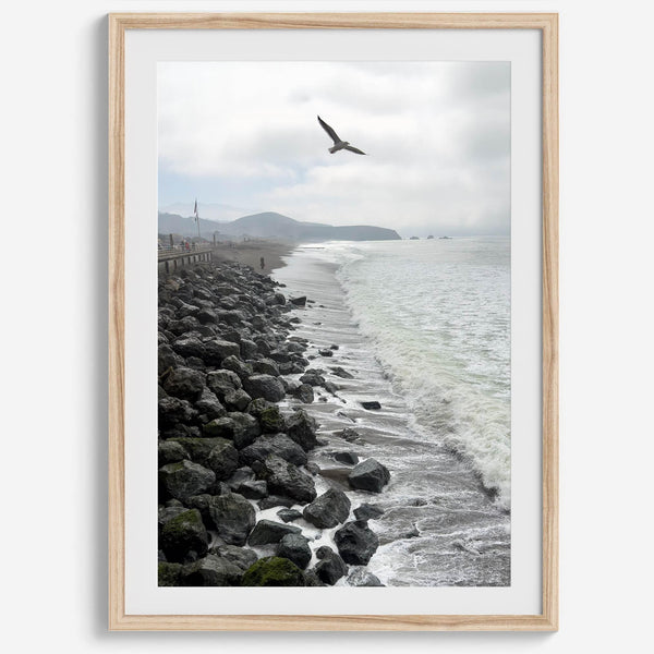 Serene sea gull wall art from Pacifica, coastal photography print for modern interiors