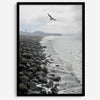Serene sea gull wall art from Pacifica, coastal photography print for modern interiors