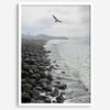 Serene sea gull wall art from Pacifica, coastal photography print for modern interiors