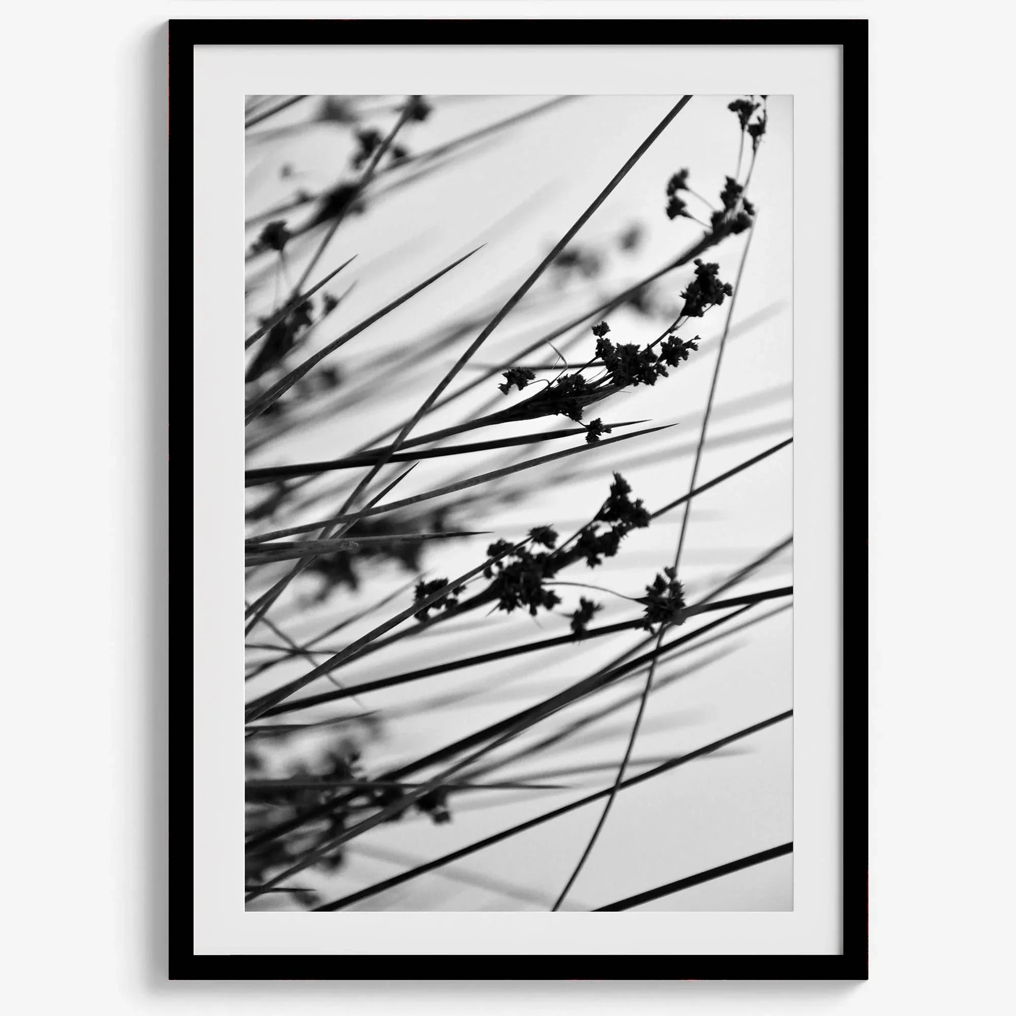 Minimalist black and white floral triptych with abstract plant silhouettes and delicate botanical linework.