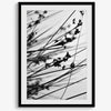 Minimalist black and white floral triptych with abstract plant silhouettes and delicate botanical linework.