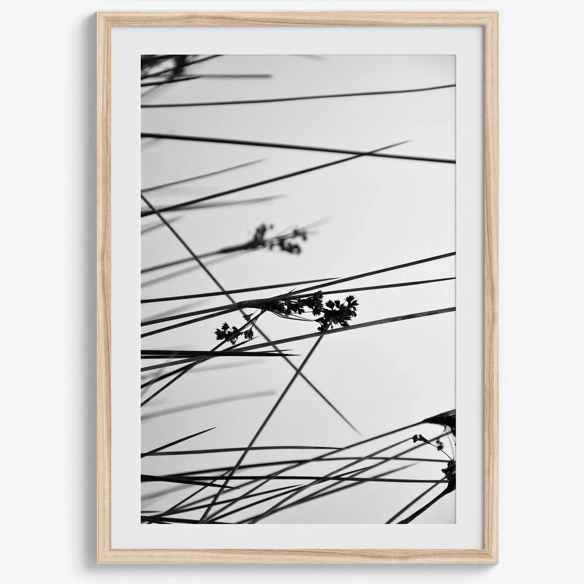 Minimalist black and white floral triptych with abstract plant silhouettes and delicate botanical linework.