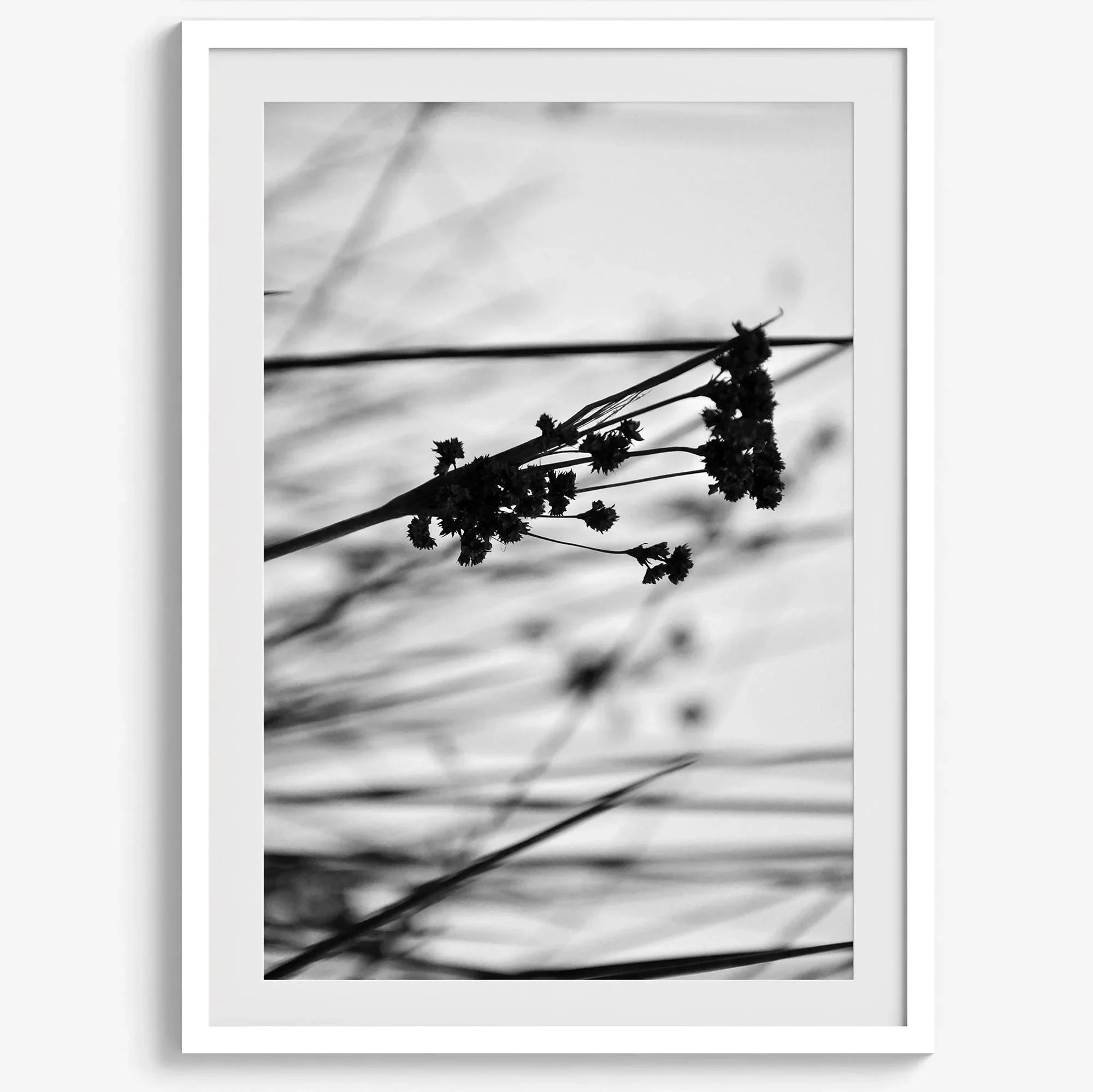 Minimalist black and white floral triptych with abstract plant silhouettes and delicate botanical linework.