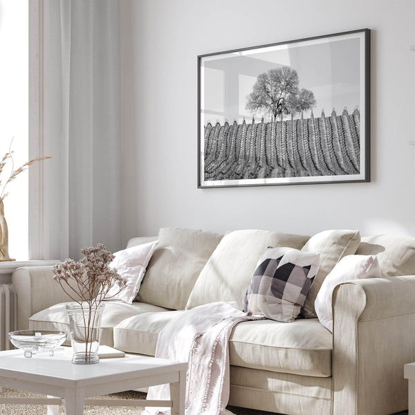 Fine art black and white vineyard photography print Napa Valley minimalist wine country wall decor.