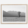 Teton Tranquility