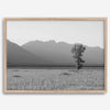 Teton Tranquility