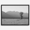 Teton Tranquility