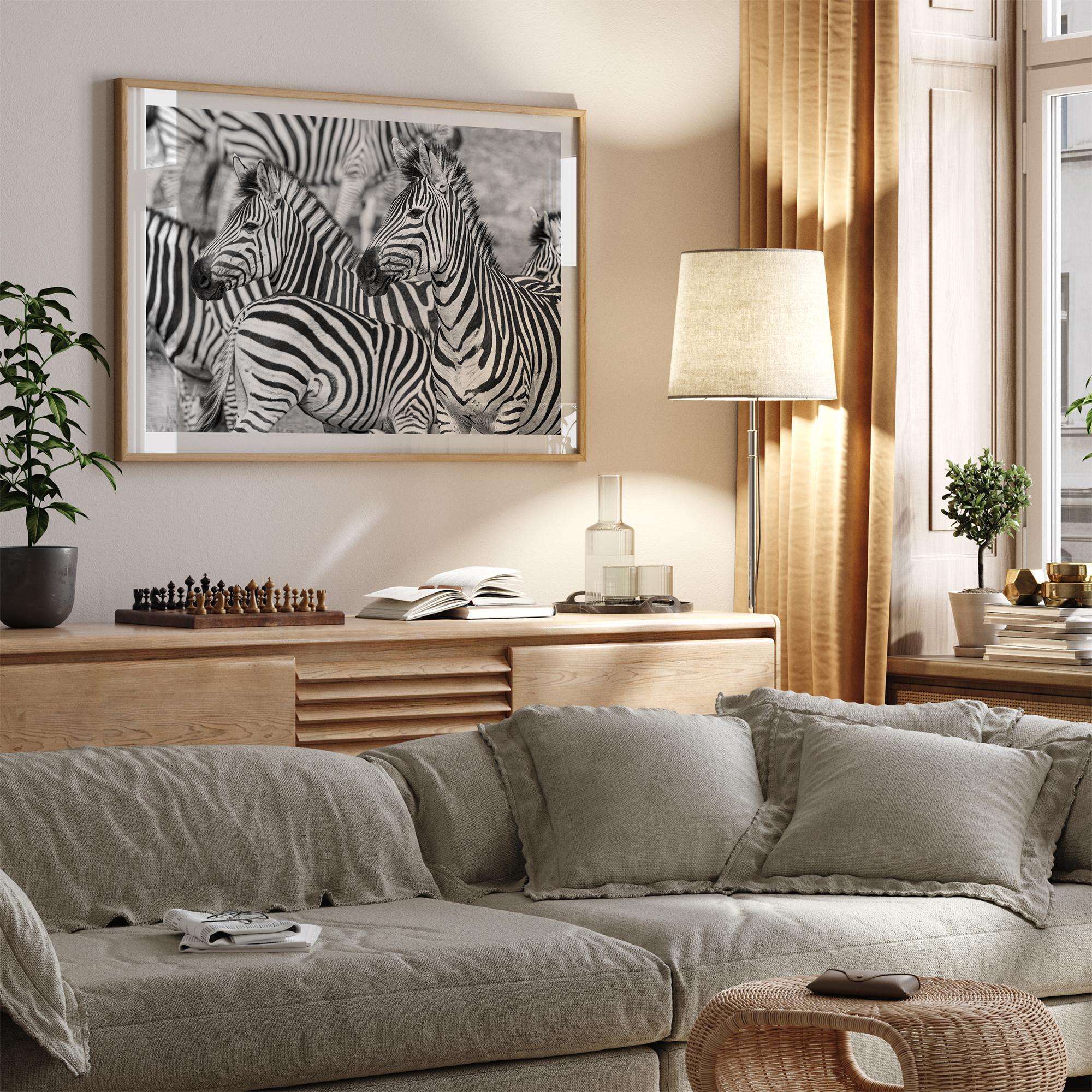 Black and white zebra wall art showing a herd of zebras with overlapping striped patterns, presented in a black frame with a white mat.