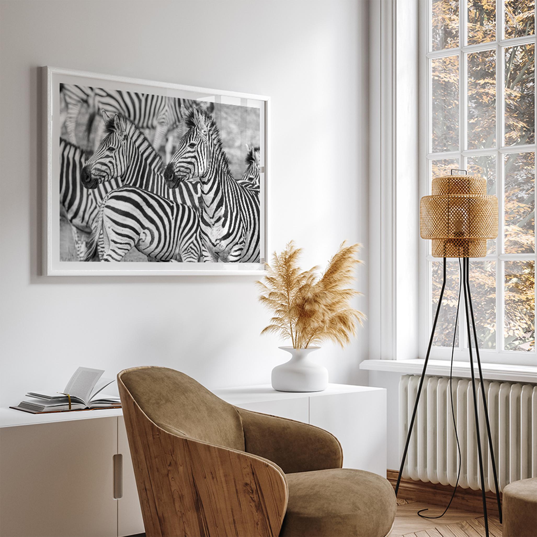 Black and white zebra wall art showing a herd of zebras with overlapping striped patterns, presented in a black frame with a white mat.