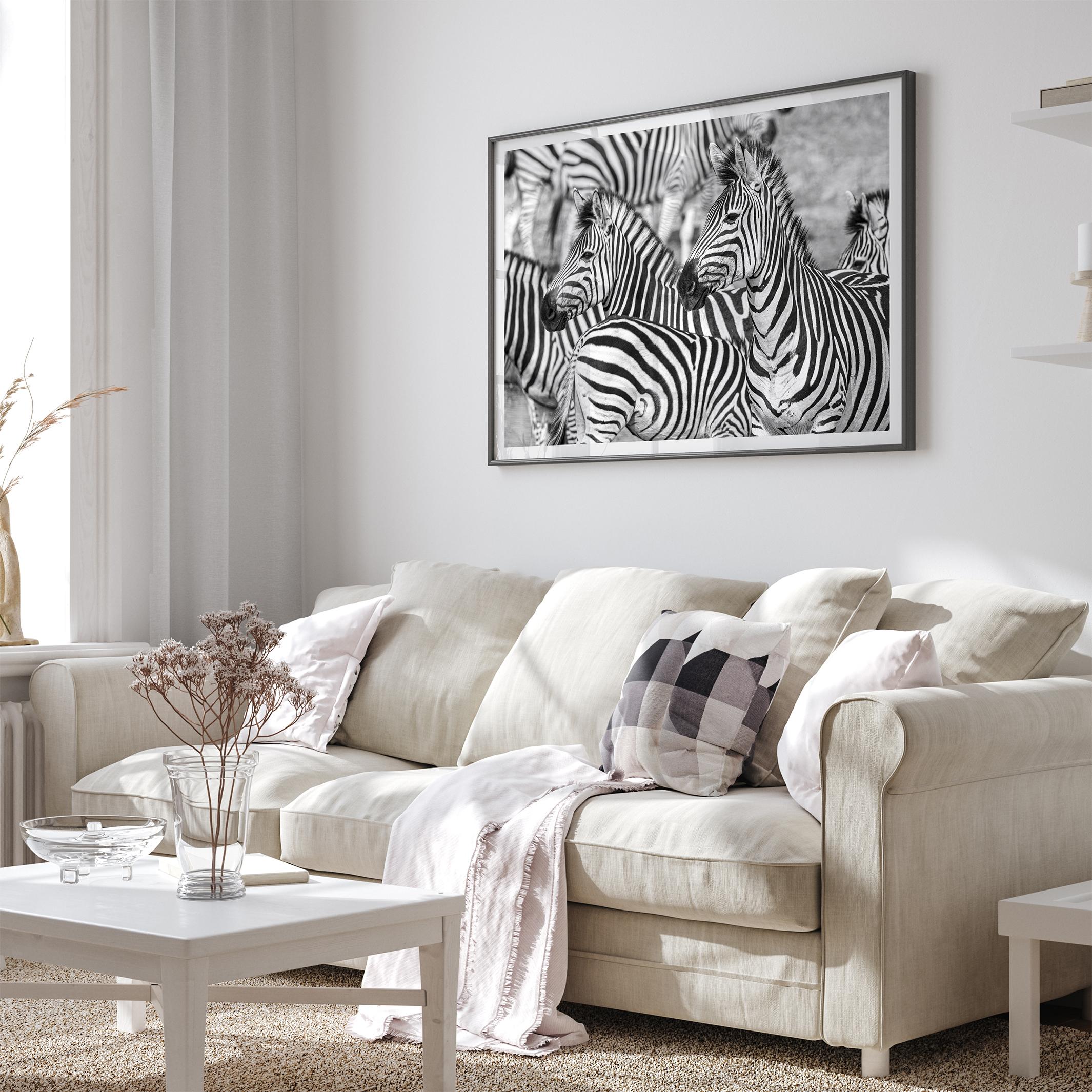 Black and white zebra wall art showing a herd of zebras with overlapping striped patterns, presented in a black frame with a white mat.