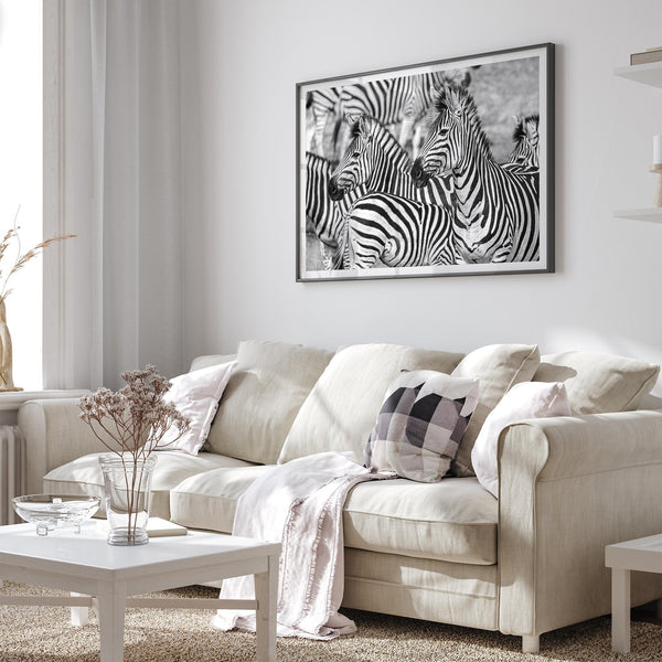 Black and white zebra wall art showing a herd of zebras with overlapping striped patterns, presented in a black frame with a white mat.
