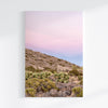 A canvas large wall art set of Joshua Tree National Park. This canvas print showcases a stunning lone Joshua tree standing in the desert with desert plantation all around and breathtaking pink sunset in the backdrop.
