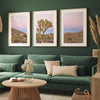 A wall art set of 3 framed or unframed Joshua Tree National Park prints. This desert wall art showcases a stunning Joshua Tree and the desert terrain and plants in a breathtaking Pink sunset filled with Pink and Purple hues. Modern gallery wall set