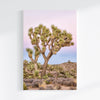 A canvas large wall art set of Joshua Tree National Park. This canvas print showcases a stunning lone Joshua tree standing in the desert with desert plantation all around and breathtaking pink sunset in the backdrop.