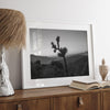 A fine art black and white desert print of a lone Joshua Tree against a sunset with the layered desert mountains behind it.