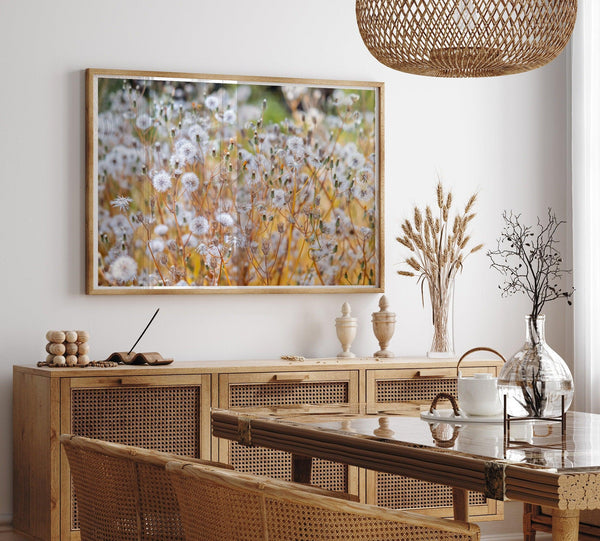 A fine art floral photography print with beautiful white flowers taken in the sunset.