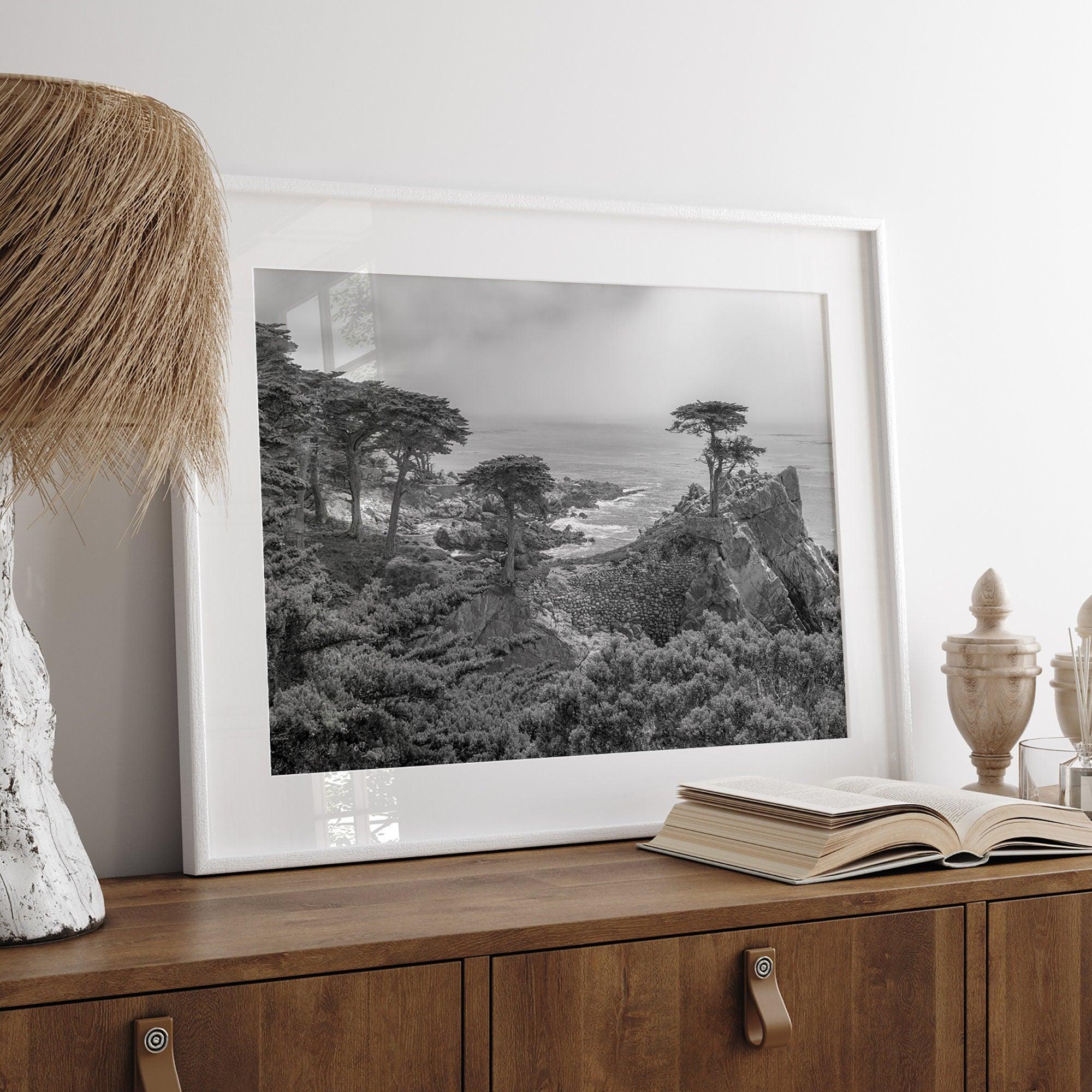 Black and white fine art coastal print featuring a lone cypress overlooking the ocean along 17-Mile Drive near Monterey, California. Available framed or unframed.