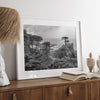 Black and white fine art coastal print featuring a lone cypress overlooking the ocean along 17-Mile Drive near Monterey, California. Available framed or unframed.