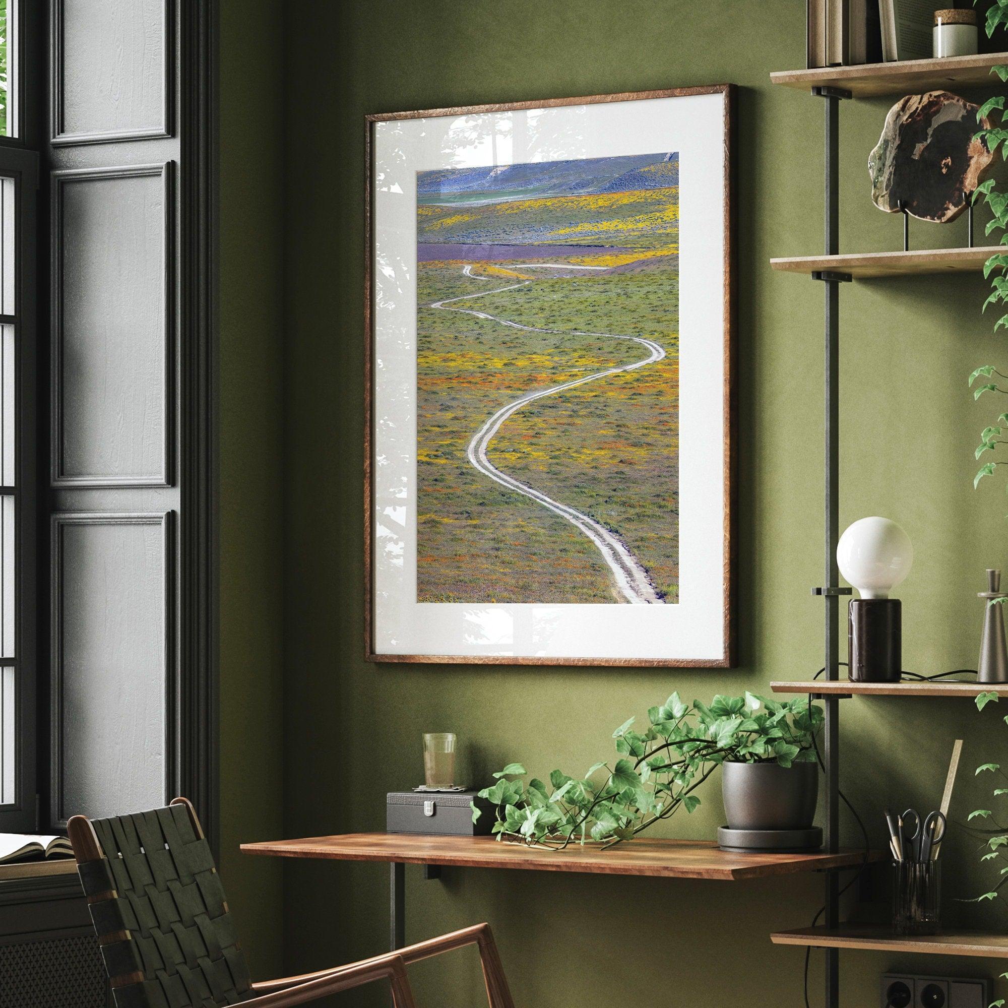 fine art photography print of a winding road disappearing into a valley filled with colorful wildflowers in Antelope Valley, California.